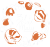Zoloti Maky Logo